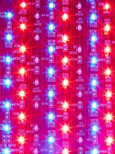 Red and blue LED lights arranged in vertical lines with numeric codes.