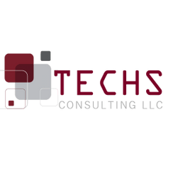 TECHSCONSULTING LLC