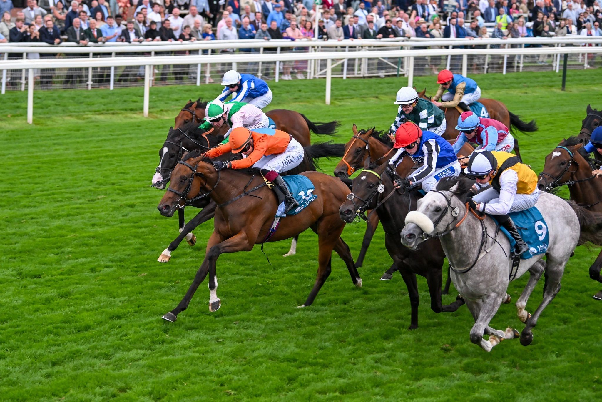 Roudee Racing Roudee Racing - Horse Racing Syndicate, Horse Racing