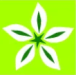 Lonestar Landscape Management 
