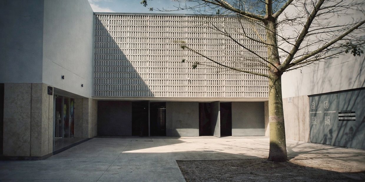 Modern building with geometric facade and tree casting shadows in a courtyard.