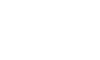 ABIS Arms