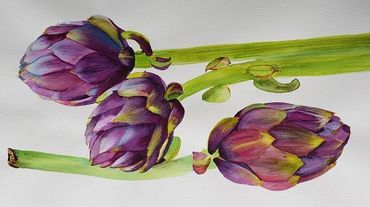 Artichoke galore!

22 X 30 - Watercolor 
Available $225.00