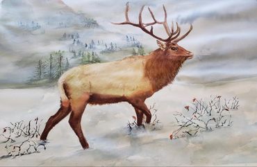 Winter Bull Elk 
22 X 30
Photo courtesy of Pixabay - Siggy Nowak 
Commissioned - Sold