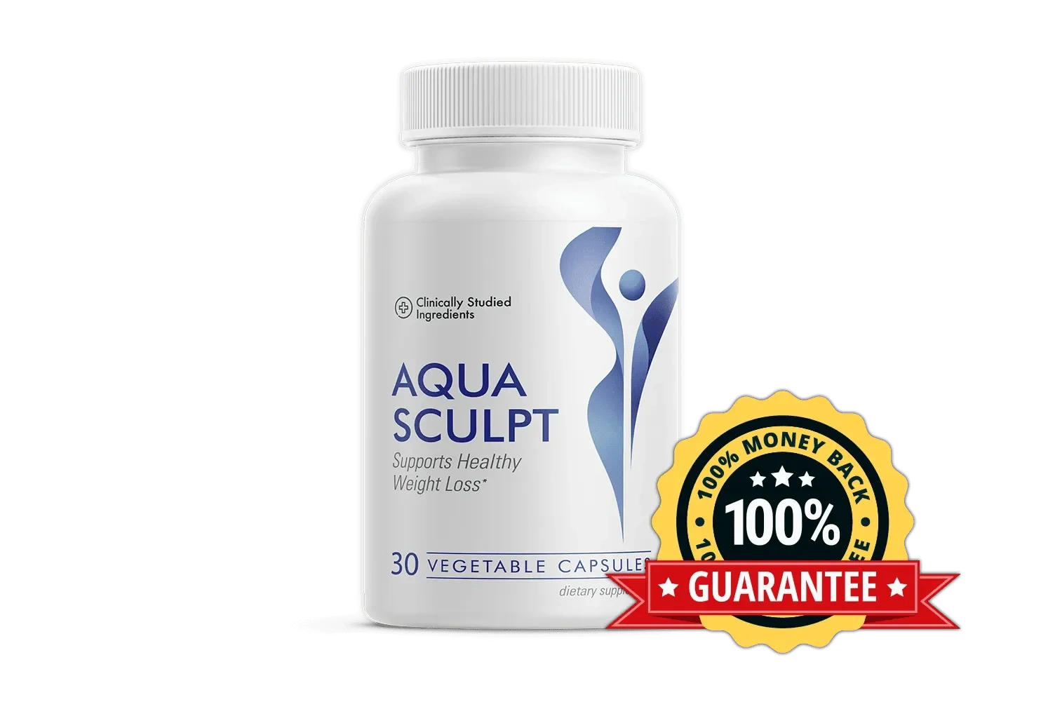 aquasculptofficialwebsite.godaddysites.com