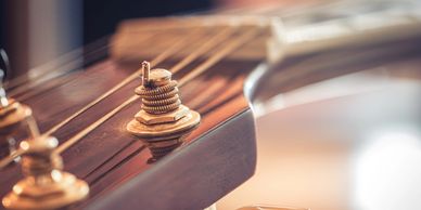 acoustic guitar strings setup service professional electric bass repair maintenance technician