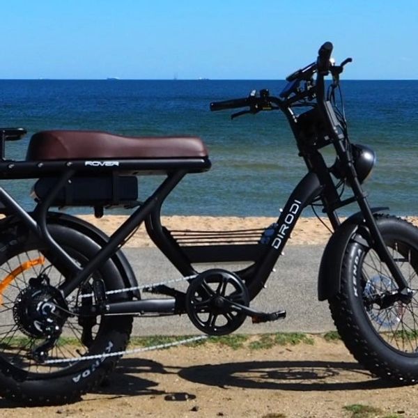 Rover E-bike parked in front of the ocean.