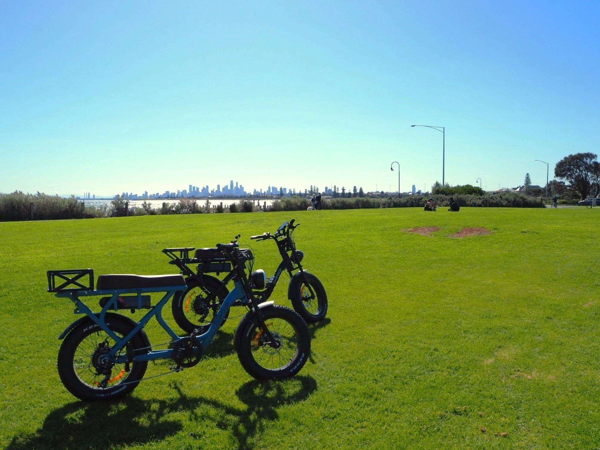 Bay Bikes E-bikes parked on the grass in front of the ocean. You can see the Melbourne CBD skyline.