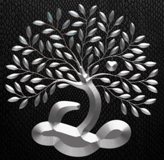 Steve Wilkinson Books