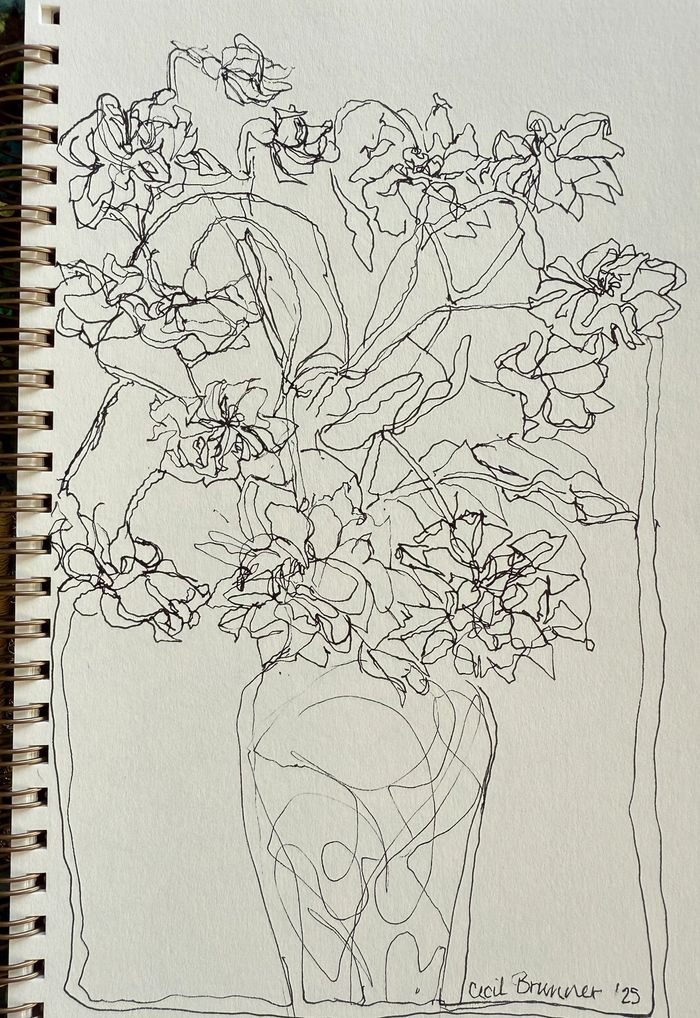 Loose sketchbook ink drawing of a Cecil Brunner rose bouquet.