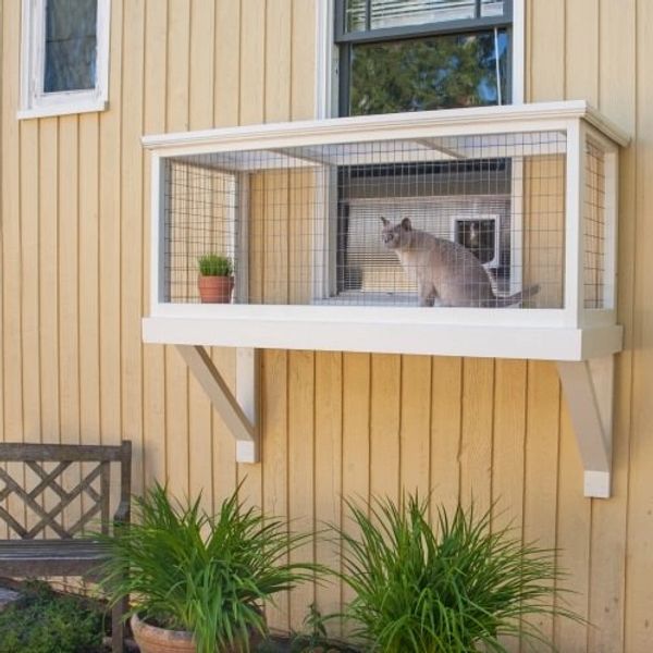 Enclosed Cat Balcony