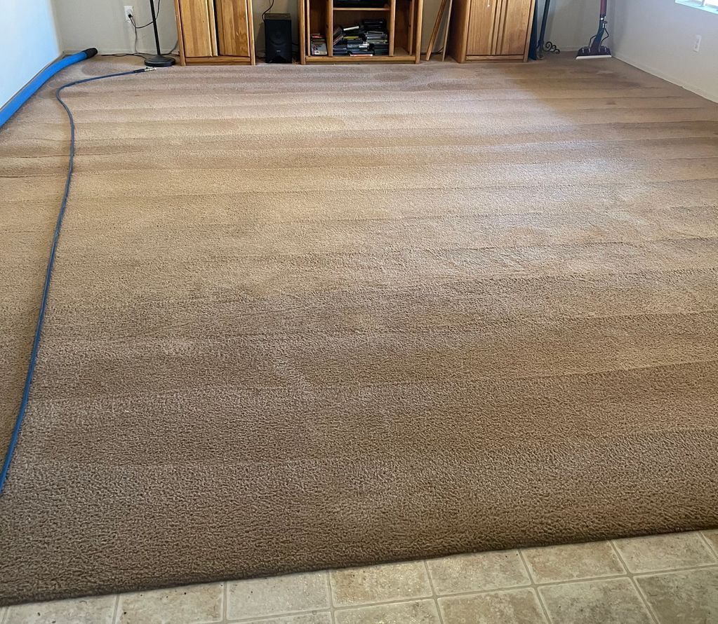 Pet Urine Treatment - Carpet Cleaning