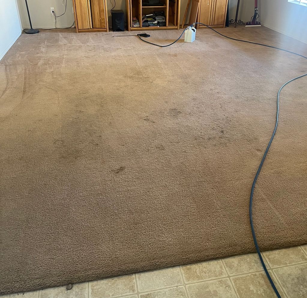 Pet Stains - Carpet Cleaning