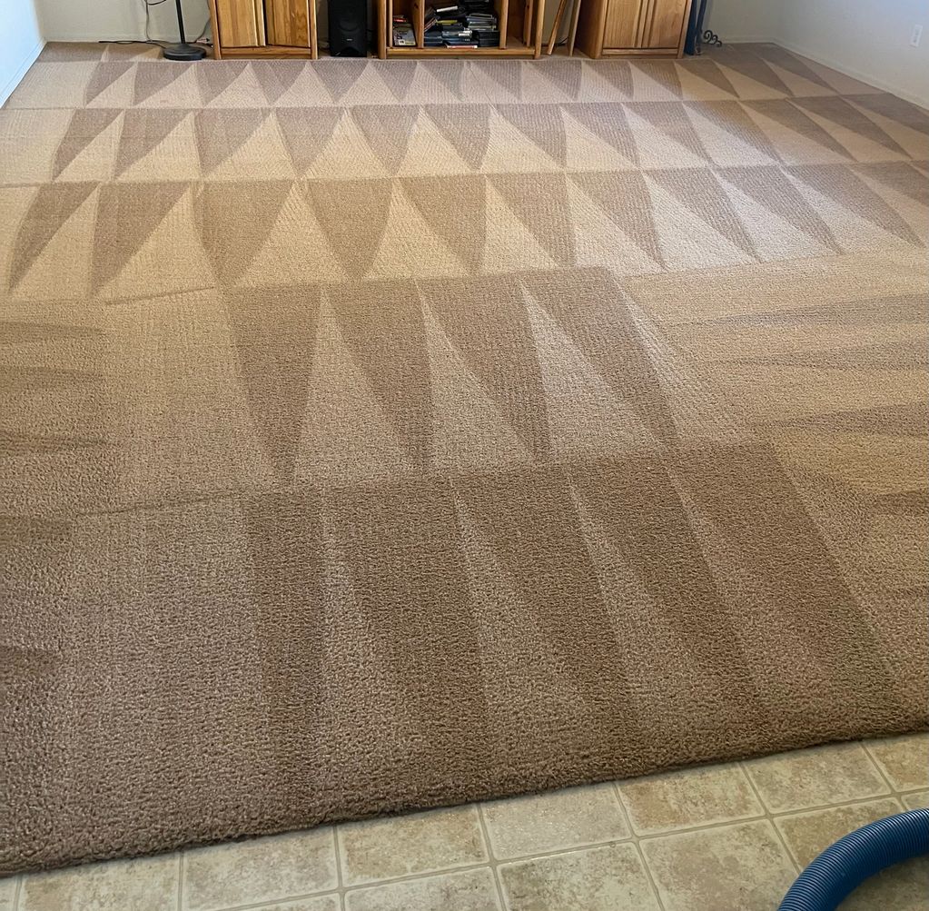 Professional Carpet Cleaning Near Me Buckeye