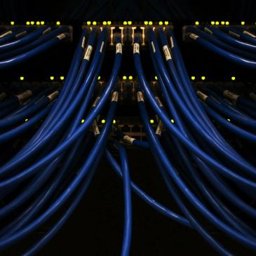 Cables azules conectados a un dispositivo de red.