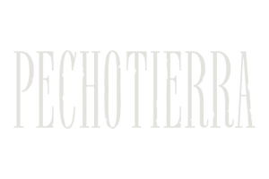 PECHOTIERRA VINO DEL NORTE