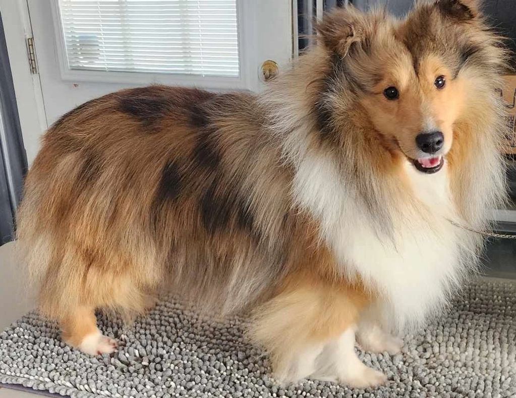 M&M's Courtesy of The Red White And Blue, "Toby"