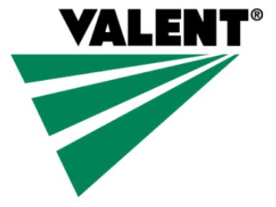 Valent logo with green triangular design.