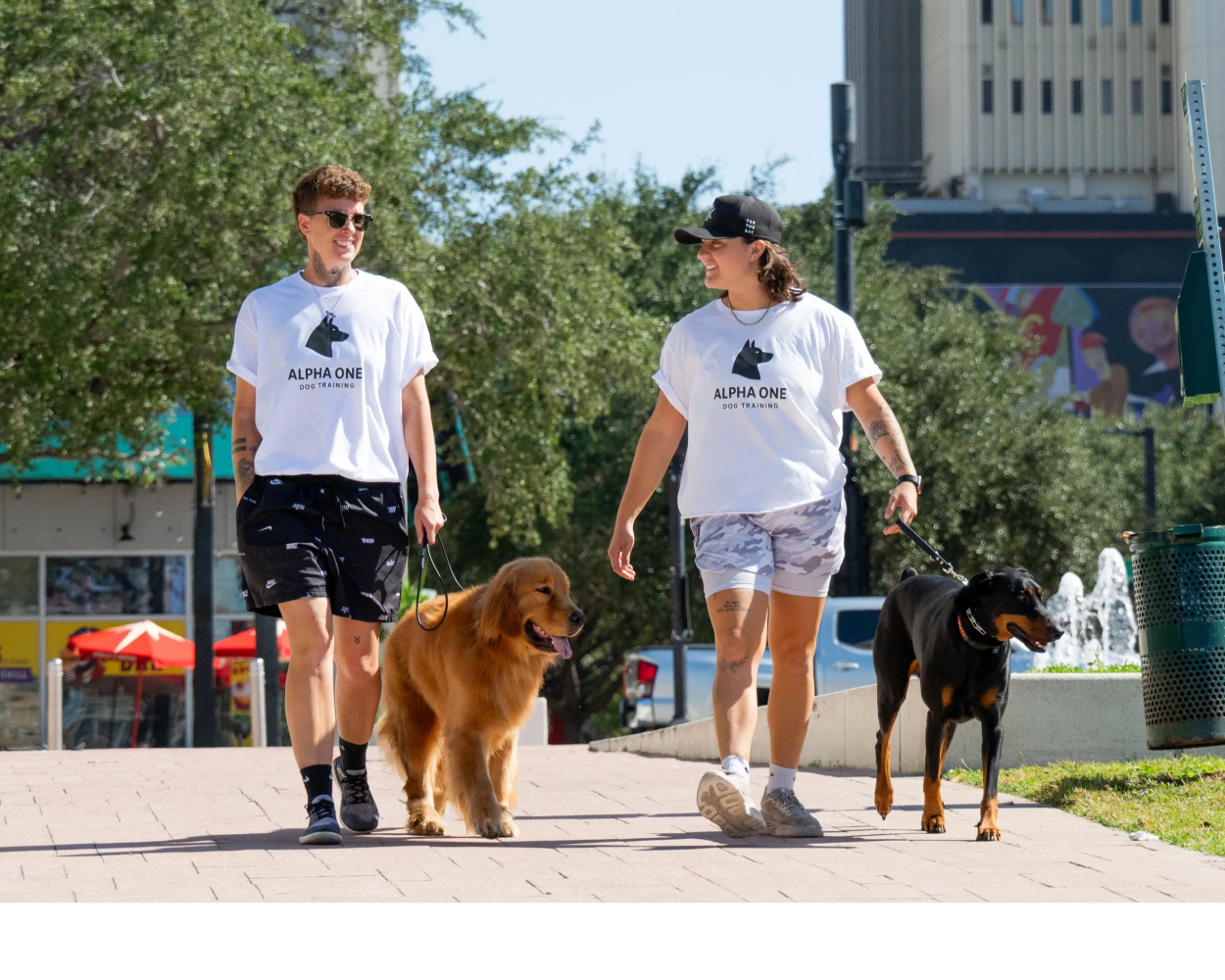 Two people walking dogs, wearing matching Alpha One Dog Training shirts.