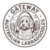 Gateway Australian Labradoodles