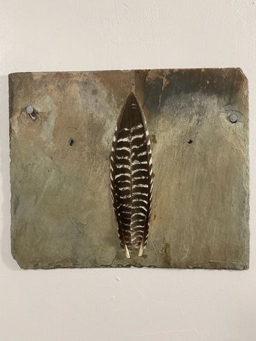 'In Prophetic Flight'
turkey feathers on slate
10" x 12" / 25.5cm x 30.5cm
2020