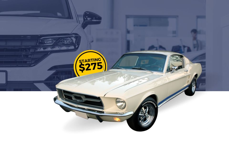 Bayview Auto Spa business photo