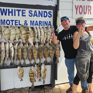 Nice catch black drum, Sheepsheads