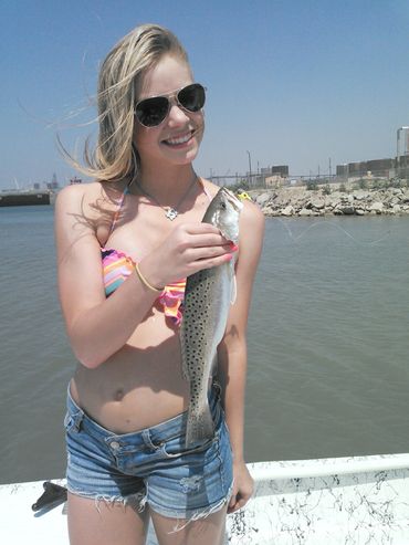 Speckled trout