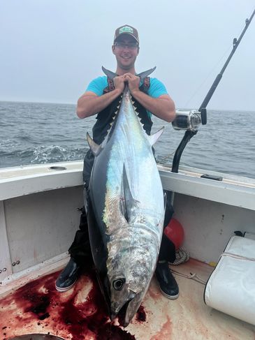 BloodLine Fishing Charters  Fishing, Sightseeing, and more