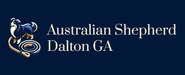 Australian Shepherd Dalton