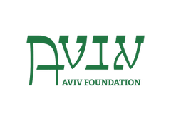 Aviv Foundation
