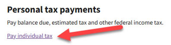 Screenshot showing a link for paying individual tax under personal tax payments.
