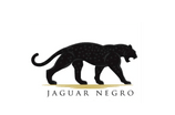 Jaguar Negro Real Estate