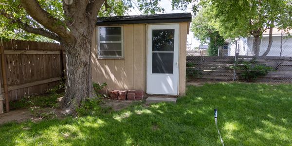 Backyard scene with a small wooden shed next to a large tree and green grass.