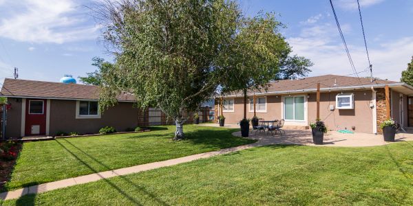Backyard with lawn, tree, and patio at a single-story house.