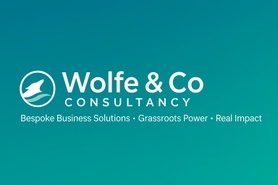 Wolfe & Co Consultancy