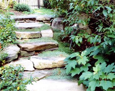 Rock steps surrounded by thick foliage.