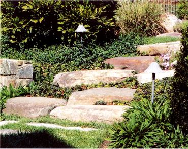Stone walkway through a sloped garden.