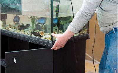 Aquarium removal company