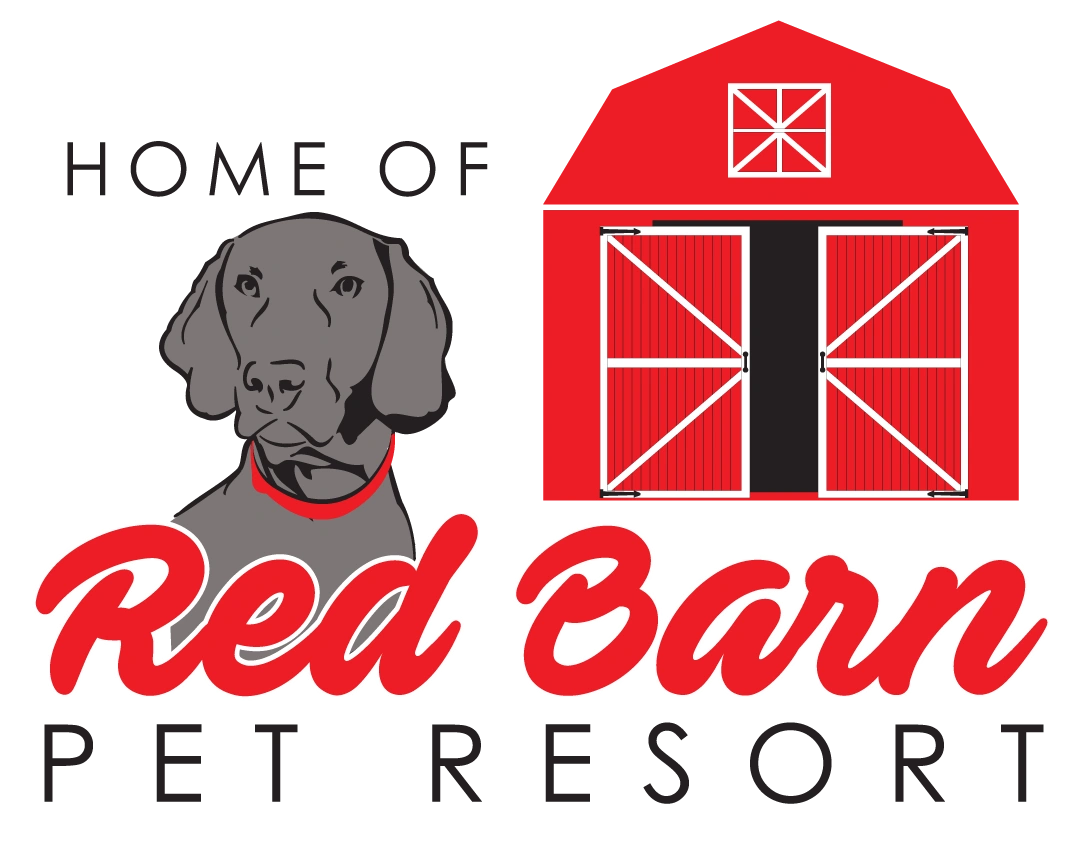Red barn dog best sale house
