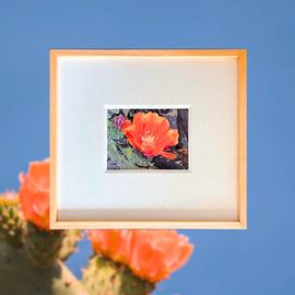 Madrugada en Troncones