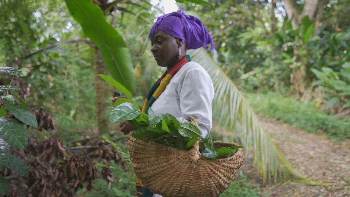 Black woman holding a basket of plants dressed in traditional garments.