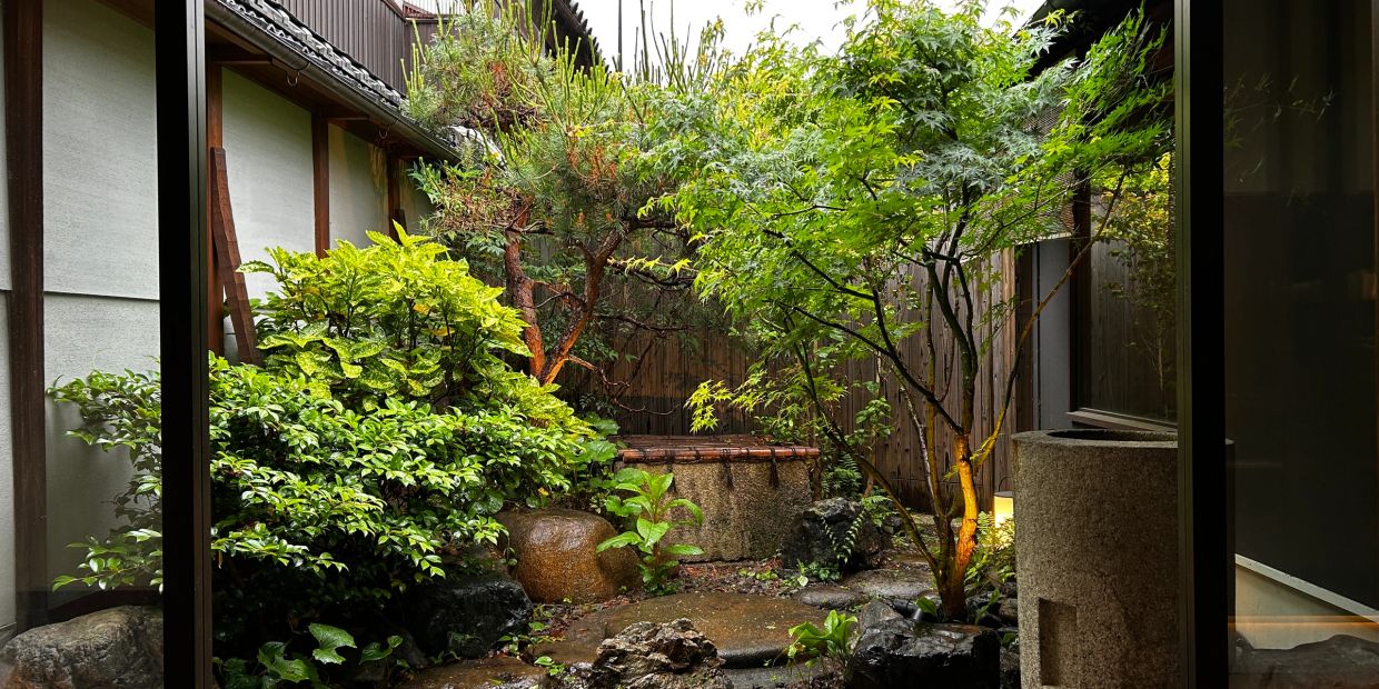 Cozy green garden viewed from indoors.