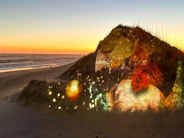 light art, projection mapping by Artist Robin Vuchnich on dunes at the Outer Banks NC