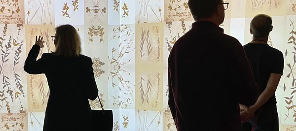 Immersive installation Harvard Museum of Natural Science by Artist: Robin Vuchnich, of XO Immersive