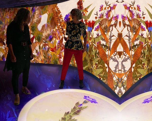 Immersive installation Harvard Museum of Natural Science by Artist: Robin Vuchnich, of XO Immersive