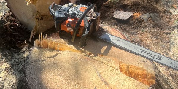 Tree Removal Maine