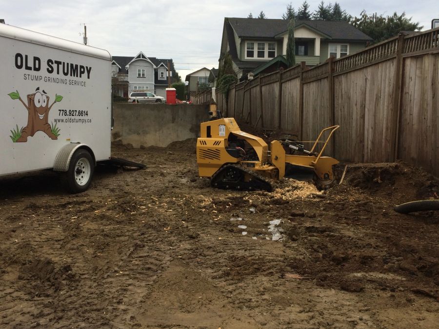 Grinder working on a residential job site with the Old Stumpy trailer
