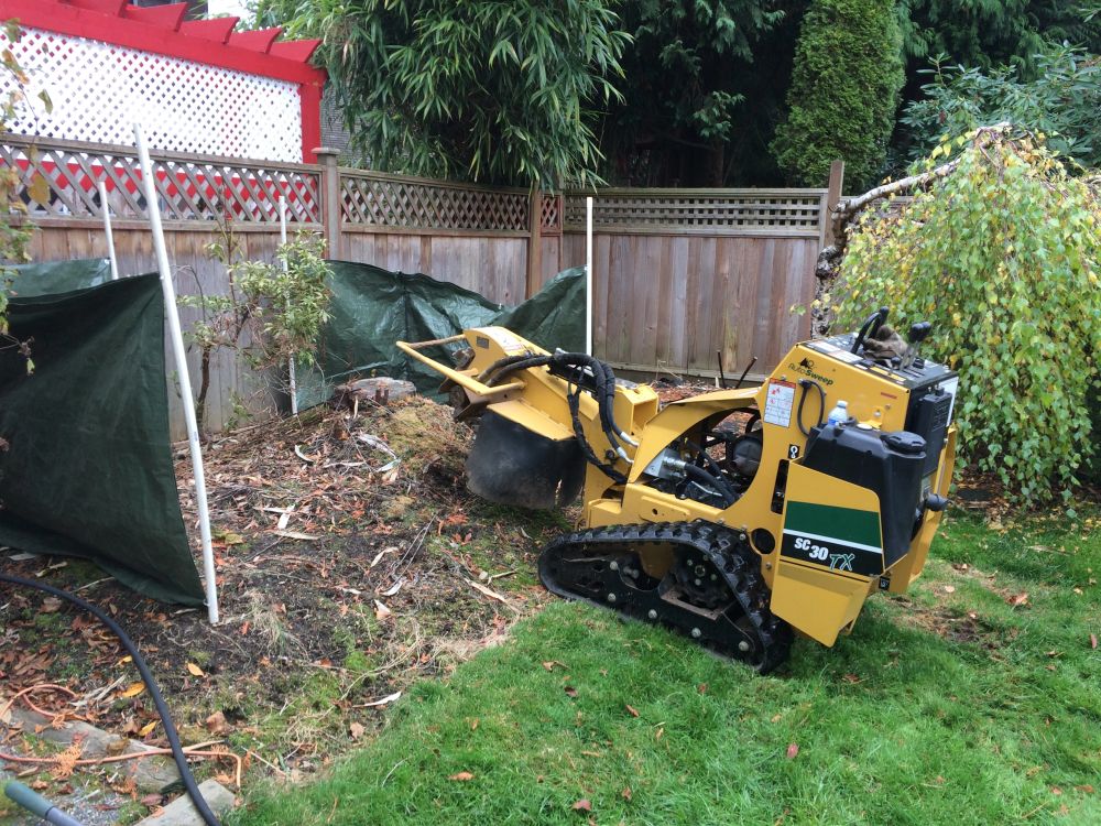Old Stumpy's compact tracked stump grinder working in a fenced backyard