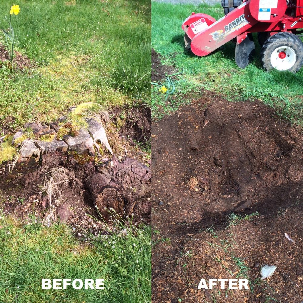 Before and after: a gnarled root stump, then a clean patch of soil after grinding